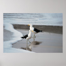 Seagull reflections in the sand print
