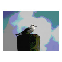 Seagull sitting on a dock posterised photograph personalized invitations