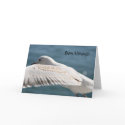 seagull wishes cards
