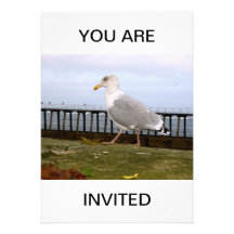 Seagull  YOU ARE INVITED
