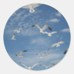 Seagulls in Flight Sticker