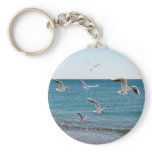 Seagulls