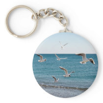Seagulls