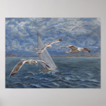 Seagulls lead the way poster