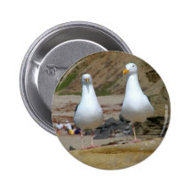 Seagulls On Oceans Beach Pinback Buttons