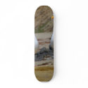 Seagulls On Oceans Beach skateboards