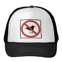 Seagulls Prohibited Mesh Hats