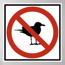 Seagulls Prohibited Poster