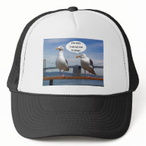 seagulls talking
