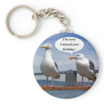seagulls talking
