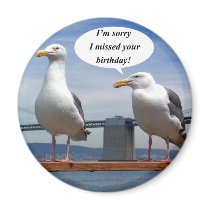 seagulls talking