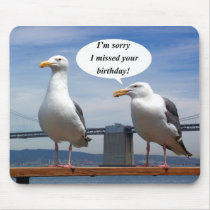 seagulls talking