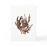 Seahorse Cards