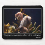 Seahorse & Friendship Mousepad