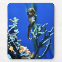 Seahorse Magic Mouse Pads