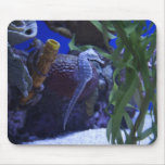 Seahorse Mousepad