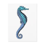 Seahorse
