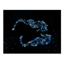 seahorse postcards