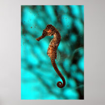 Seahorse Poster