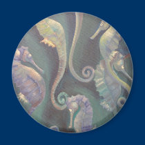 seahorses magnets