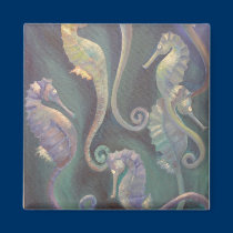 seahorses magnets