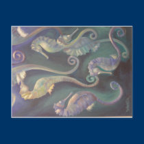 Seahorses postcards