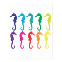 Seahorses Postcards
