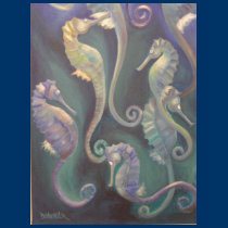 seahorses t-shirts