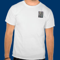 Seahorses t-shirts