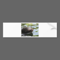 Seal bumper stickers