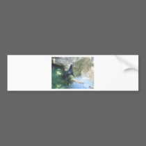 Seal bumper stickers