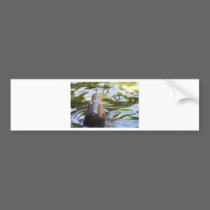 Seal bumper stickers