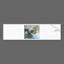 SEAL bumper stickers