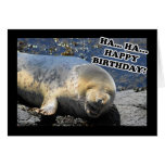 Seal Laughing Ha Ha Happy Birthday Greeting Cards
