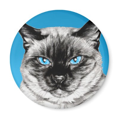 Seal Point Siamese Magnet by TheGalacticGroundhog