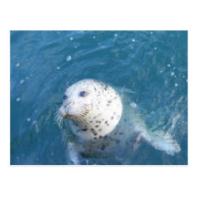 Seal Post Cards