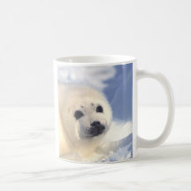 Seal Pup Face Coffee Mugs