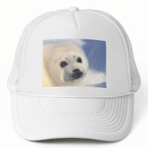 Seal Pup Face Mesh Hat