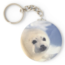 Seal Pup Face Key Chains
