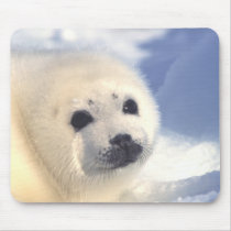 Seal Pup Face Mousepad