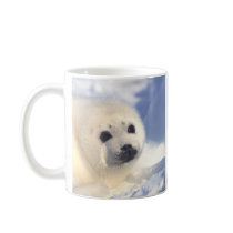 Seal Pup Face Coffee Mugs