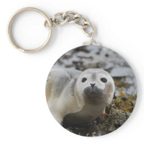 Seal Pup Keychain
