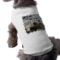 Seal Pup Pet Shirt