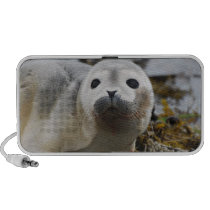Seal Pup Portable Speakers