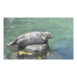 Seal stickers