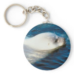 Seal Swimming keychains