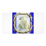 SEALS,SEALS EVERYWHERE photo cards