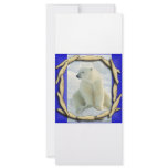 SEALS,SEALS EVERYWHERE rack cards