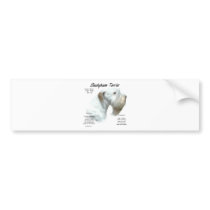 Sealyham Terrier History Design