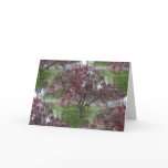 Seamless Sandcherry Photo cards
